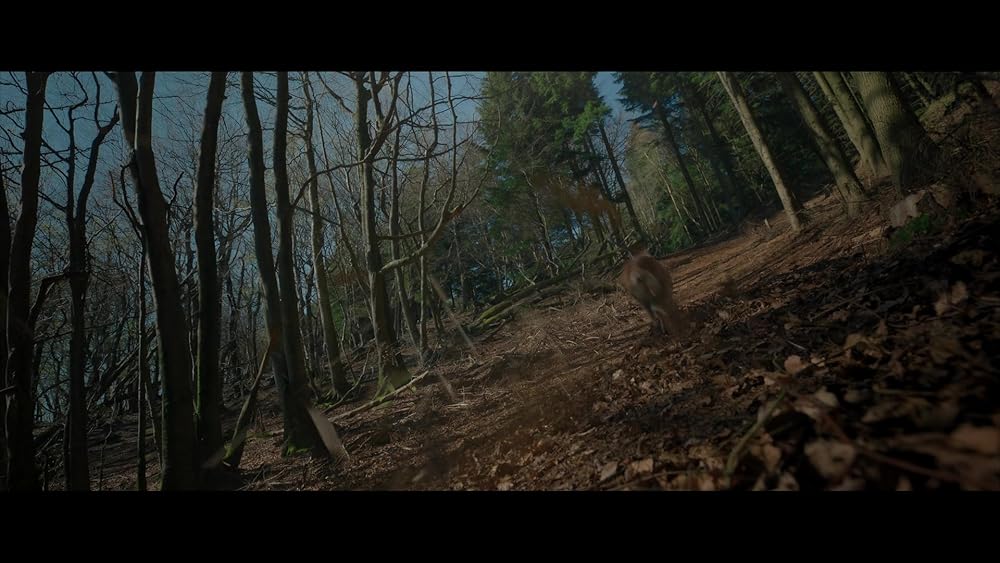 کراون شکارچی