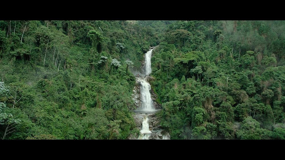 پدینگتون در پرو