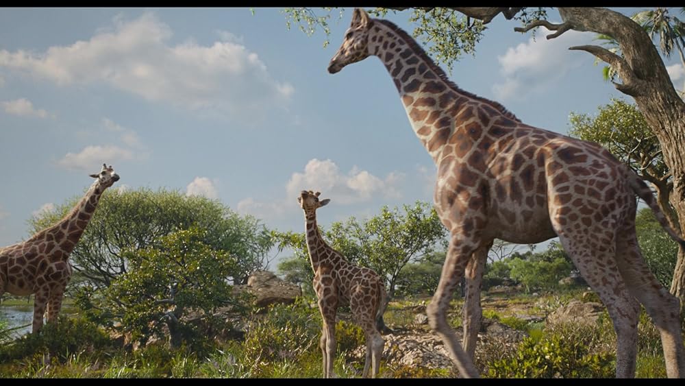 موفاسا: فرمانروای شیرها